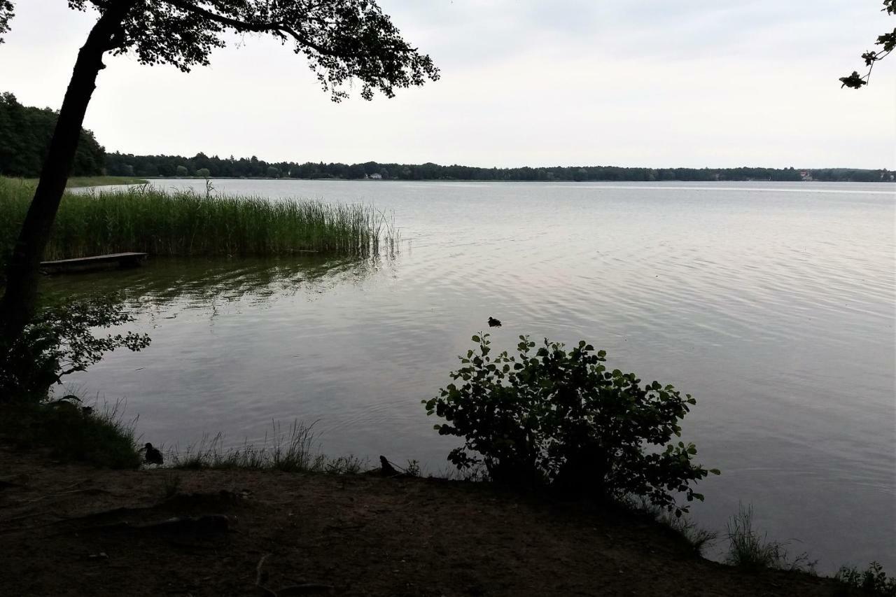 Ferienwohnung-Sonnenparadies-Wandlitz Exteriör bild
